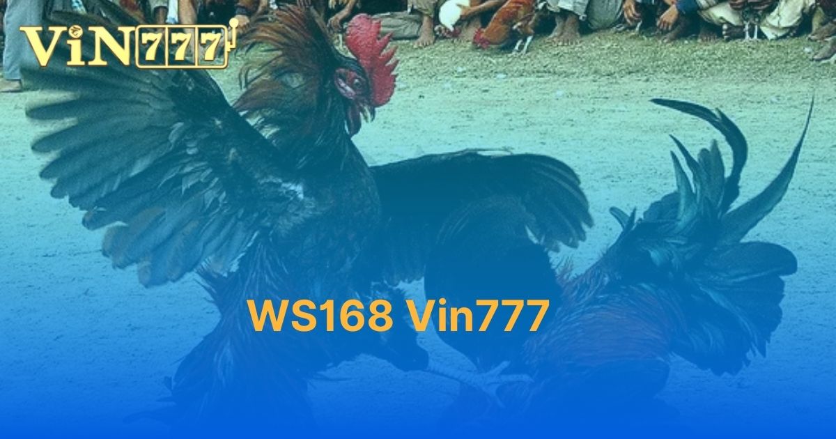 WS168 Vin777