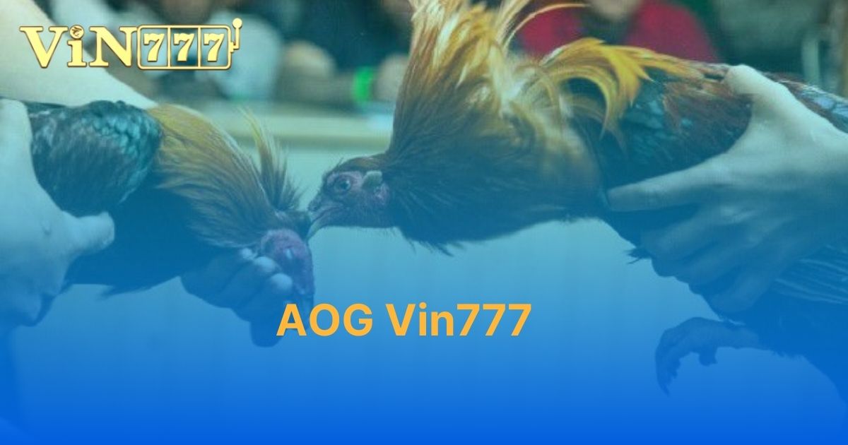 AOG Vin777