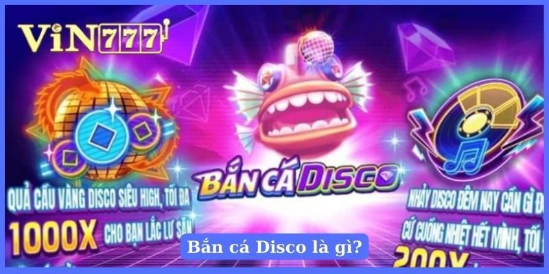 Giới thiệu về trò chơi Fishing Disco