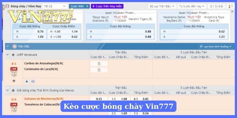 Bạn cần nắm được kèo cược bóng chày cơ bản