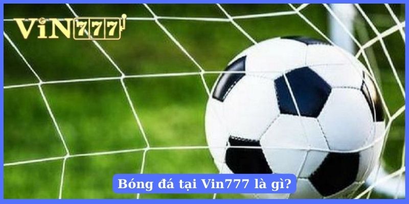 Cá cược bóng đá hấp dẫn và xanh chín trên Vin777