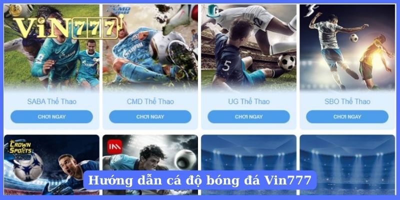 Người chơi chọn sảnh cược yêu thích để cá độ bóng đá