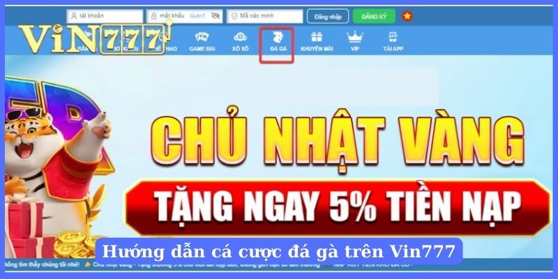 Trên giao diện bạn chọn vào danh mục Đá gà