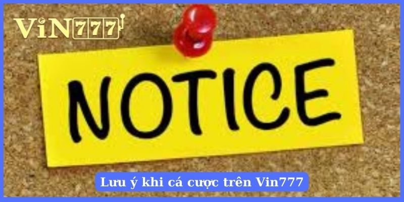 Lưu ý khi cá cược trên Vin777