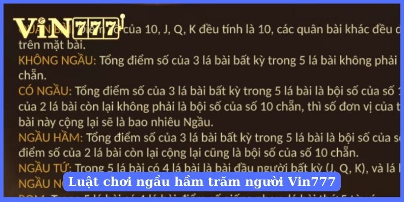 Tham khảo luật chơi bài ngầu hầm trăm người trên Vin777