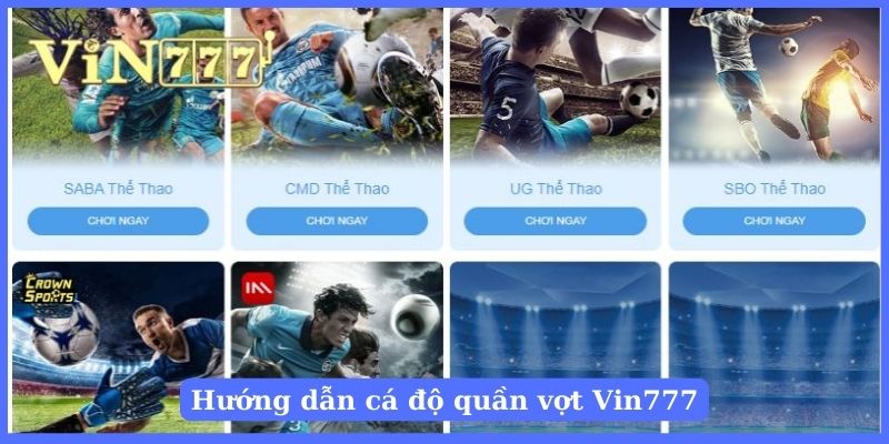 Người chơi chọn thể thao và vào sảnh cược yêu thích