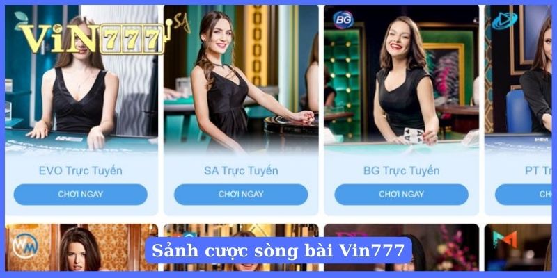 Những sảnh cược trong sòng bài nhà cái Vin777