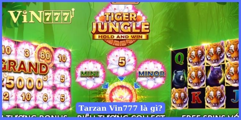 Đôi nét về chủ đề săn hũ Tarzan trực tuyến